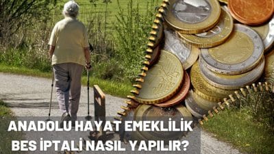 Anadolu Hayat Emeklilik BES İptali Nasıl Yapılır?