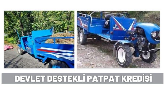 Devlet Destekli Patpat Nasıl Alınır?