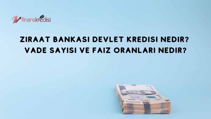 Ziraat Bankası Devlet Destekli Kredi Nedir? Vade sayısı ve Faiz Oranları Nedir?