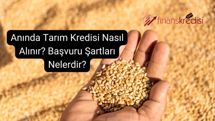 Anında Tarım Kredisi Nasıl Alınır? Başvuru Şartları Nelerdir?