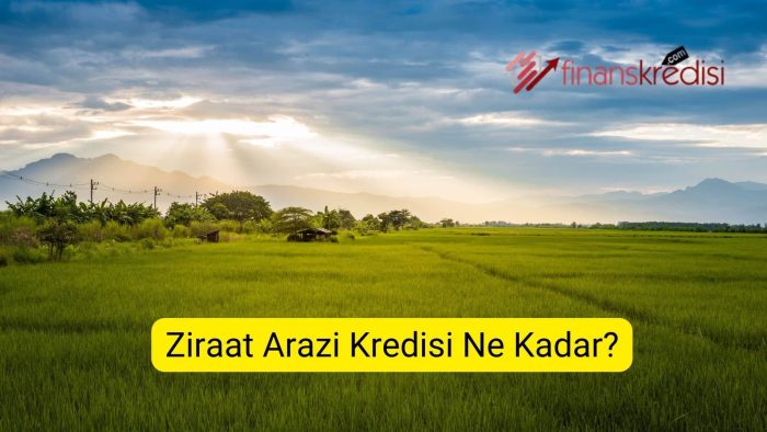 Ziraat Arazi Kredisi Ne Kadar?