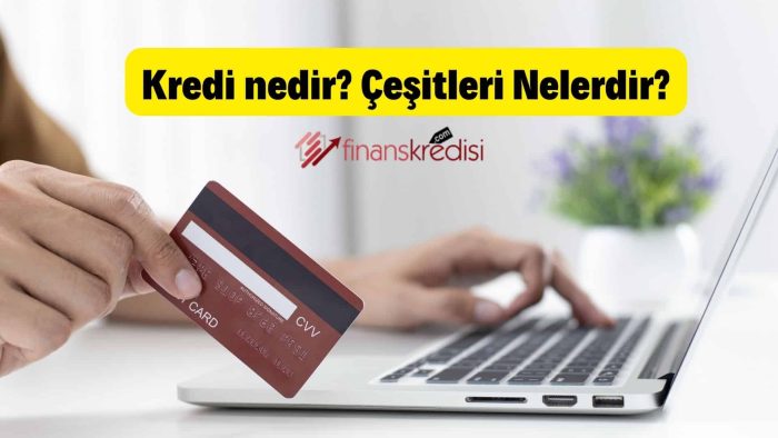 Kredi nedir? Çeşitleri Nelerdir?